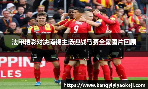 法甲精彩对决南锡主场迎战马赛全景图片回顾